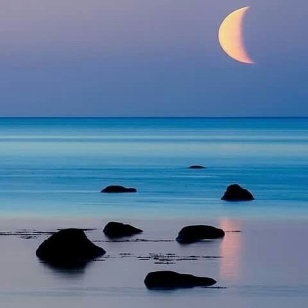 Meet your Posher, Jordyn